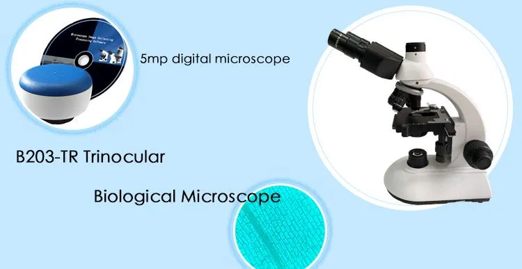 b203-tr Educational Digital Microscope for sale